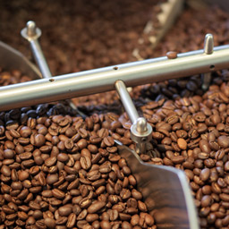 Coffee beans being roasted in a large roaster